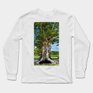 White Bark Tree Long Sleeve T-Shirt